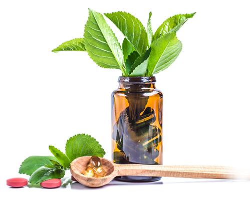 Ricerca E Sviluppo Probiotici 5
